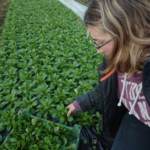 Au jardin d'Étienne